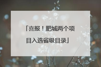 喜报！肥城两个项目入选省级目录