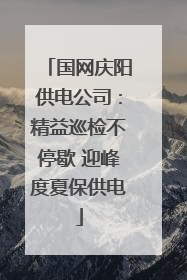 国网庆阳供电公司：精益巡检不停歇 迎峰度夏保供电