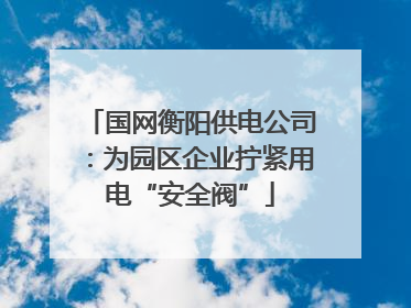 国网衡阳供电公司：为园区企业拧紧用电“安全阀”