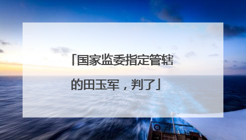 国家监委指定管辖的田玉军，判了