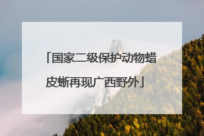 国家二级保护动物蜡皮蜥再现广西野外