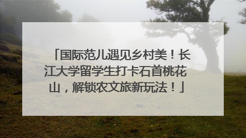 国际范儿遇见乡村美！长江大学留学生打卡石首桃花山，解锁农文旅新玩法！