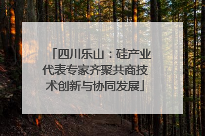 四川乐山：硅产业代表专家齐聚共商技术创新与协同发展