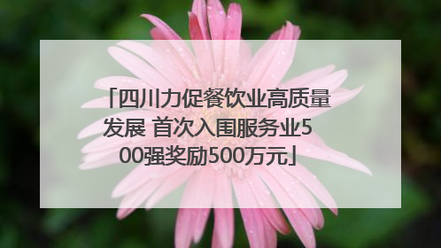 四川力促餐饮业高质量发展 首次入围服务业500强奖励500万元
