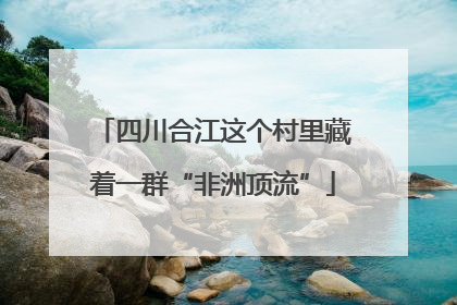 四川合江这个村里藏着一群“非洲顶流”