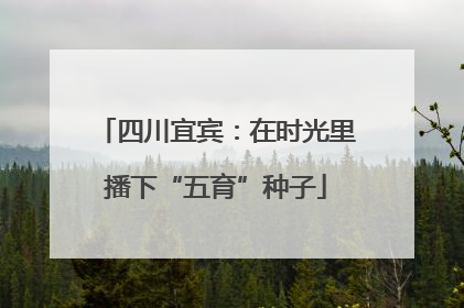 四川宜宾：在时光里播下“五育”种子