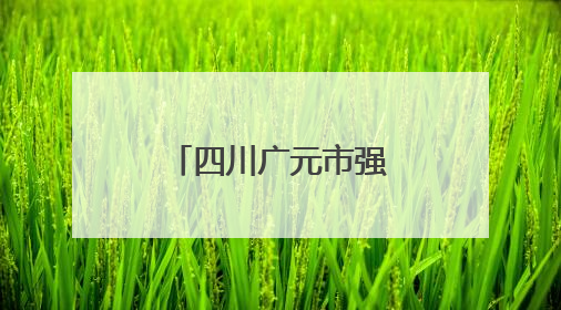 四川广元市强化乡村振兴资金使用监管突出问题专项整治
