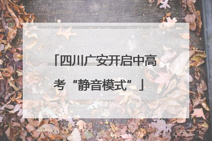 四川广安开启中高考“静音模式”