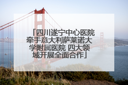 四川遂宁中心医院牵手意大利萨莱诺大学附属医院 四大领域开展全面合作