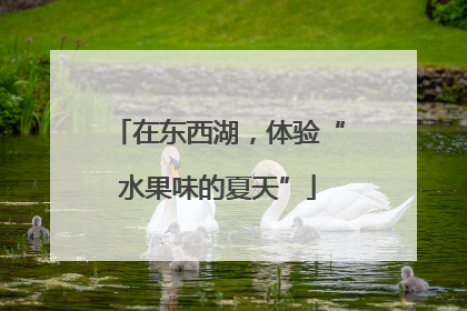 在东西湖，体验“水果味的夏天”