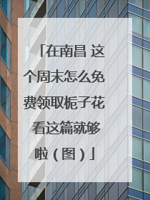 在南昌 这个周末怎么免费领取栀子花 看这篇就够啦（图）