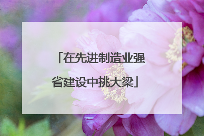 在先进制造业强省建设中挑大梁
