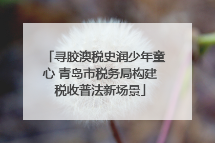 寻胶澳税史润少年童心 青岛市税务局构建税收普法新场景