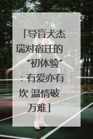 导盲犬杰瑞对宿迁的“初体验”：有爱亦有坎 温情破万难