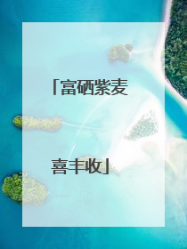 富硒紫麦喜丰收