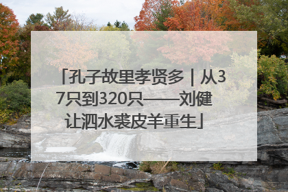 孔子故里孝贤多｜从37只到320只——刘健让泗水裘皮羊重生