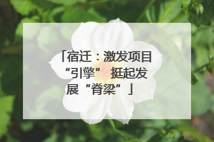 宿迁：激发项目“引擎” 挺起发展“脊梁”