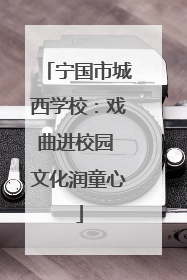 宁国市城西学校：戏曲进校园 文化润童心