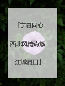 宁夏同心 西北风情点燃江城夏日