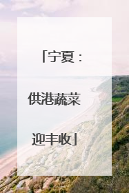 宁夏：供港蔬菜迎丰收