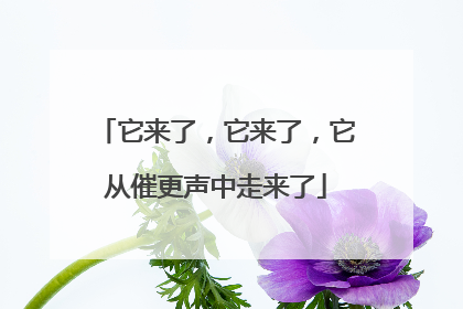 它来了，它来了，它从催更声中走来了
