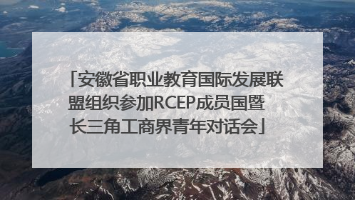 安徽省职业教育国际发展联盟组织参加RCEP成员国暨长三角工商界青年对话会