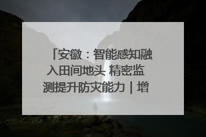 安徽：智能感知融入田间地头 精密监测提升防灾能力｜增发国债气象项目落地见效系列报道