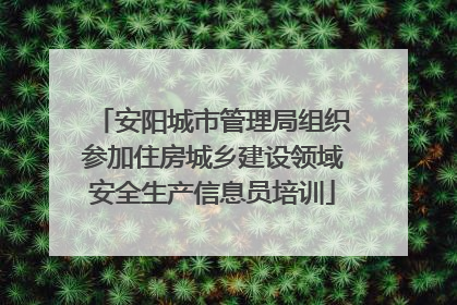 安阳城市管理局组织参加住房城乡建设领域安全生产信息员培训