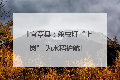 宜章县：杀虫灯“上岗” 为水稻护航
