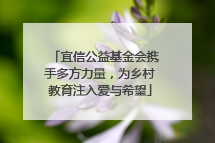 宜信公益基金会携手多方力量，为乡村教育注入爱与希望