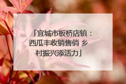 宜城市板桥店镇：西瓜丰收销售俏 乡村振兴添活力