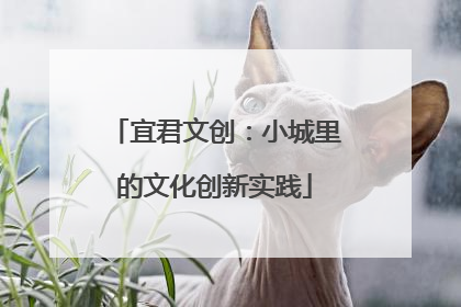宜君文创：小城里的文化创新实践