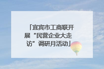 宜宾市工商联开展“民营企业大走访”调研月活动