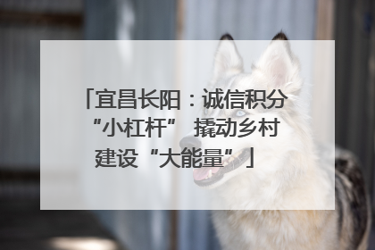 宜昌长阳：诚信积分“小杠杆” 撬动乡村建设“大能量”