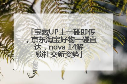 宝藏UP主一碰即传，京东淘宝好物一碰直达，nova 14解锁社交新姿势
