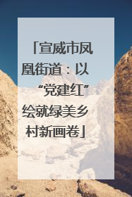 宣威市凤凰街道：以“党建红”绘就绿美乡村新画卷