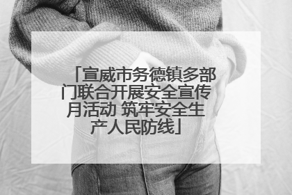 宣威市务德镇多部门联合开展安全宣传月活动 筑牢安全生产人民防线