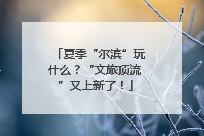 夏季“尔滨”玩什么？“文旅顶流”又上新了！