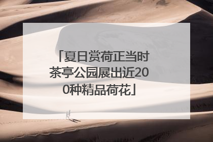 夏日赏荷正当时 茶亭公园展出近200种精品荷花