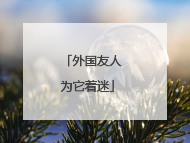 外国友人为它着迷