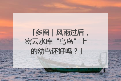 多图｜风雨过后，密云水库“鸟岛”上的幼鸟还好吗？