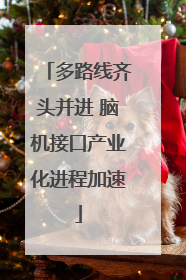 多路线齐头并进 脑机接口产业化进程加速