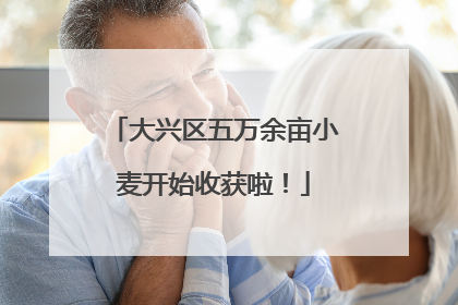 大兴区五万余亩小麦开始收获啦！