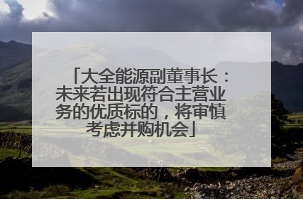 大全能源副董事长：未来若出现符合主营业务的优质标的，将审慎考虑并购机会
