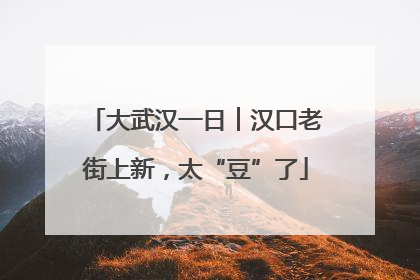 大武汉一日︱汉口老街上新，太“豆”了