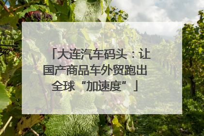 大连汽车码头：让国产商品车外贸跑出全球“加速度”