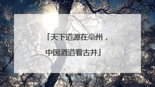 天下道源在亳州，中国酒道看古井