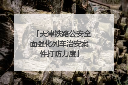 天津铁路公安全面强化列车治安案件打防力度