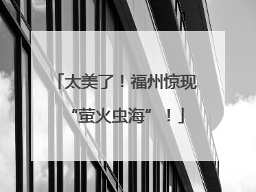 太美了！福州惊现“萤火虫海”！