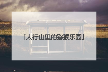 太行山里的猕猴乐园
